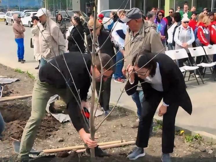В Южно-Сахалинске в честь годовщины Победы высадили «Сад памяти» из 79 деревьев