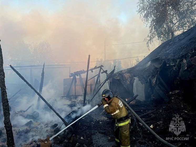 Пожар в Новгородской области уничтожил два дома