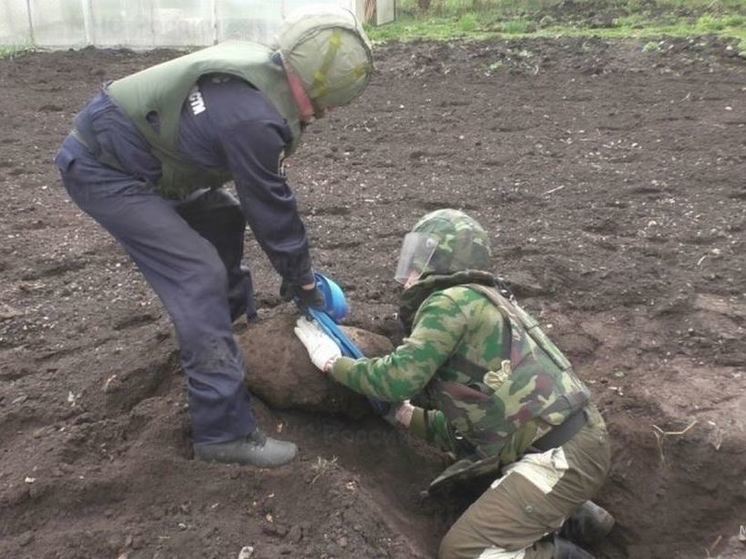 В Орловской области уничтожили 31 взрывоопасный предмет времён Великой Отечественной войны
