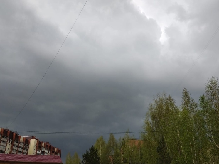 Дожди и грозы возможны в Томской области 23 мая