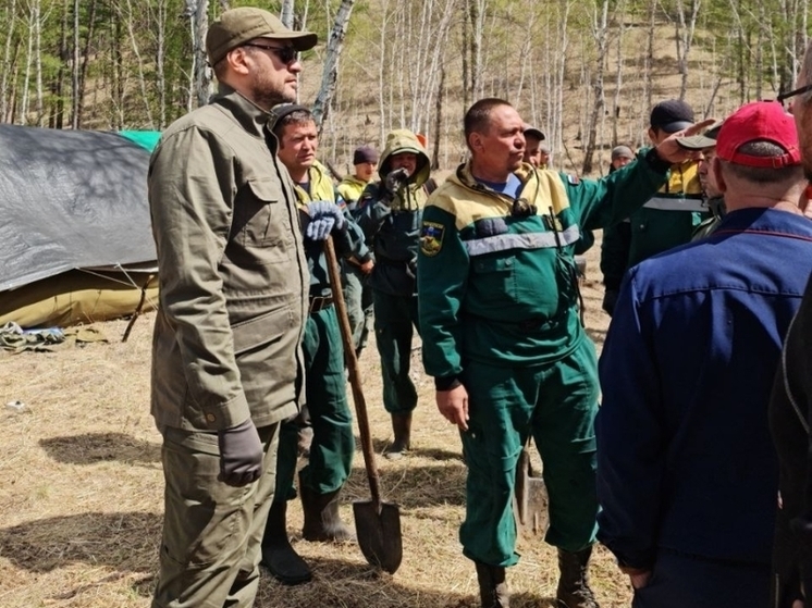 Пожарные из Красноярска и Бурятии будут тушить пожары в районе Забайкалья