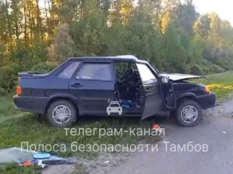 В Тамбовской области пьяный водитель иномарки устроил смертельное ДТП