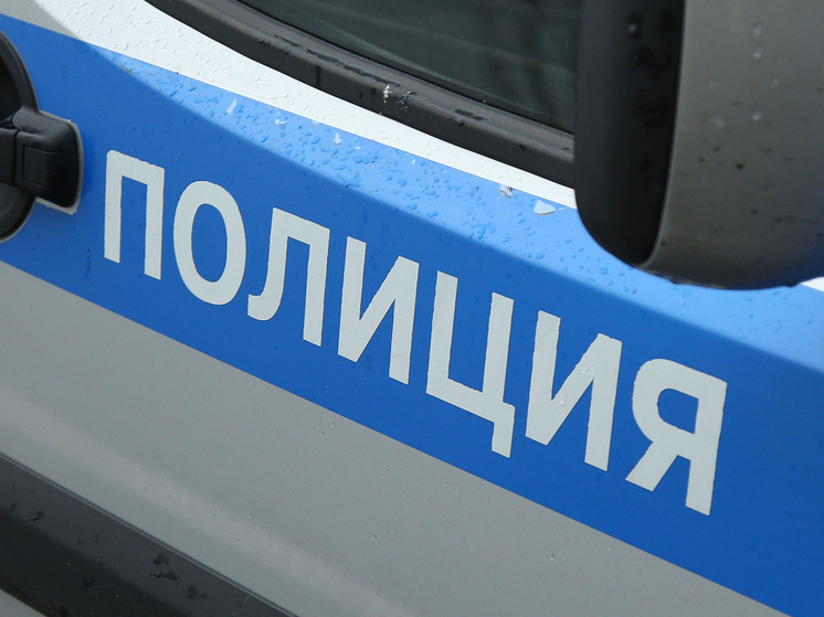 Трое подростков избили друга, его брата и бабушку и скрылись на «Мерседесе»