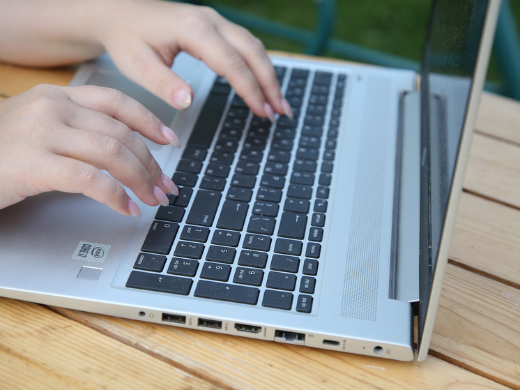 В Подмосковье льготную путевку в лагерь можно оформить онлайн