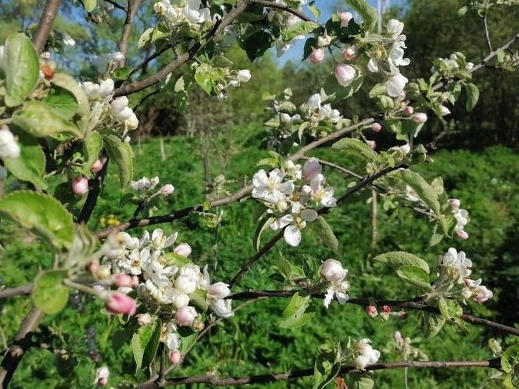 Синоптик предупредила о высоком давлении в пятницу