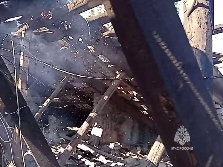 МЧС: в Горловке пожарные дом под прицелом украинского БПЛА