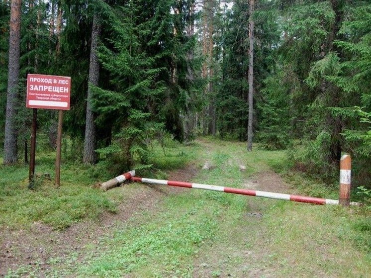 Режим чрезвычайной ситуации ввели в районе Забайкалья
