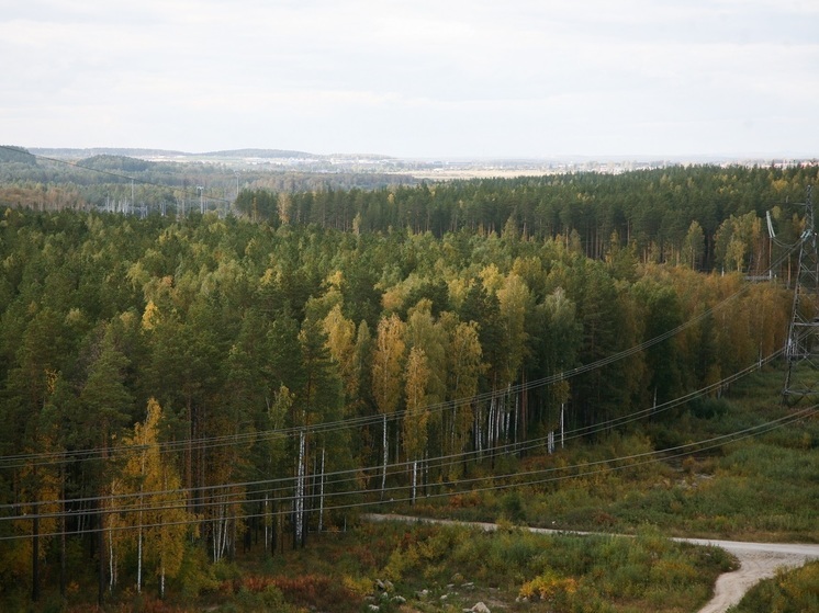 Девять новых туристических проектов появятся в Зауралье