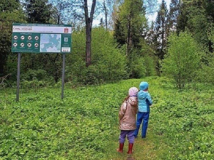 Несколько редких видов пернатых обнаружили орнитологи в Подмосковье