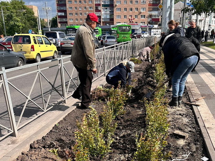 В парке Перекальского в Курске высадили кизильник