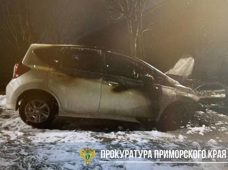 Еще один поджигатель автомобилей ожидает наказание во Владивостоке