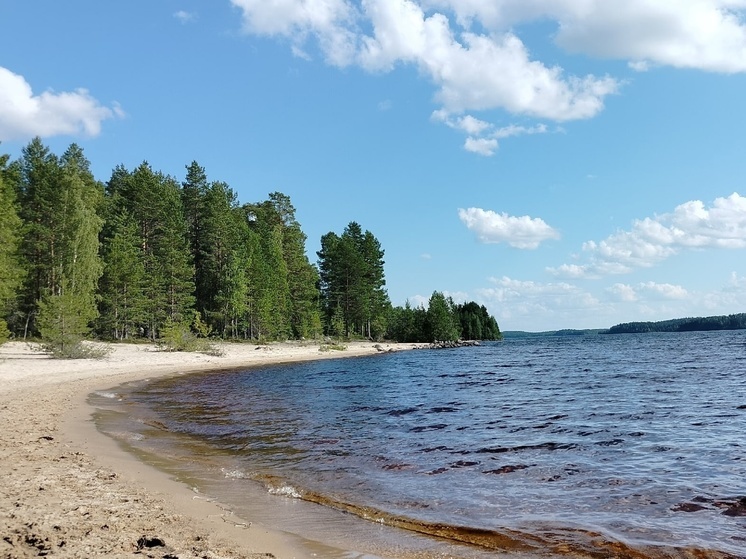 Воздух в Карелии 23 мая прогреет до +23