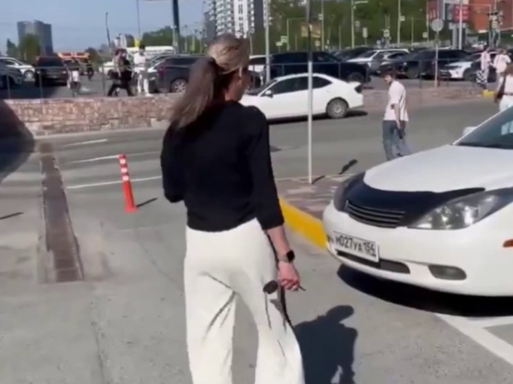 Блондинка не давала место на парковке семье с ребёнком-инвалидом в Новосибирске