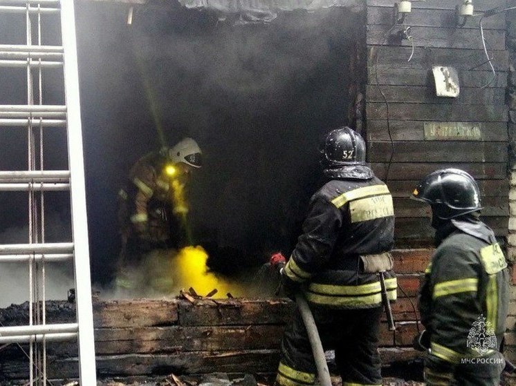 Два человека погибли в ночном пожаре в Челябинской области
