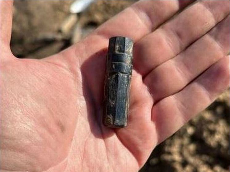 В Орловской области обнаружили останки 14 красноармейцев
