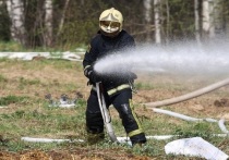 Пожарные сообщили о ликвидации пожара в Истринском городском округе Подмосковья, при котором 6 человек погибли и двое пострадали