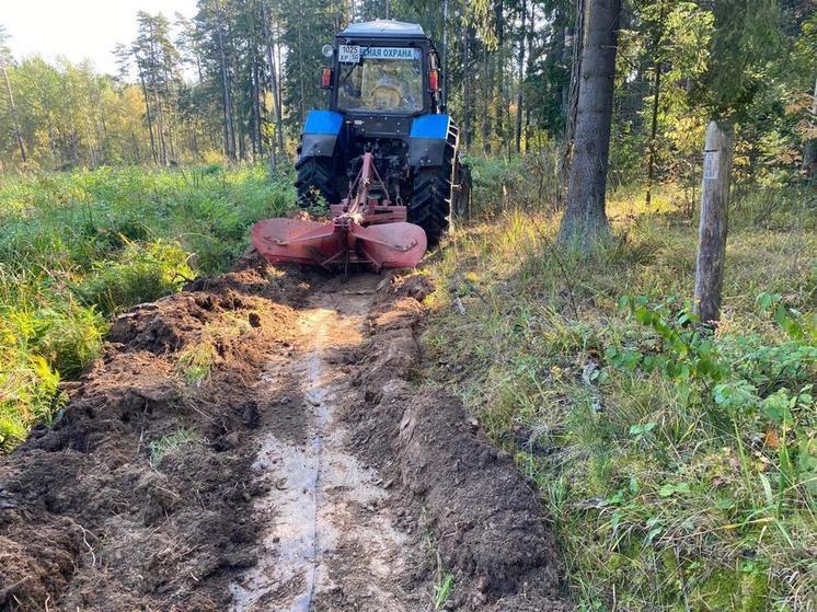 План по созданию минерализованных полос выполнен на 40%