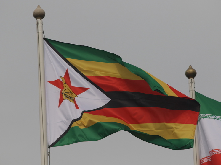 В МИД РФ подтвердили переговоры с Зимбабве об упрощении визового режима