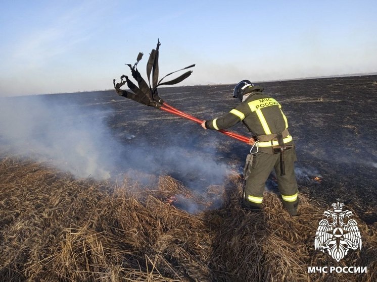 За сутки в Херсонской области зафиксировали девять пожаров