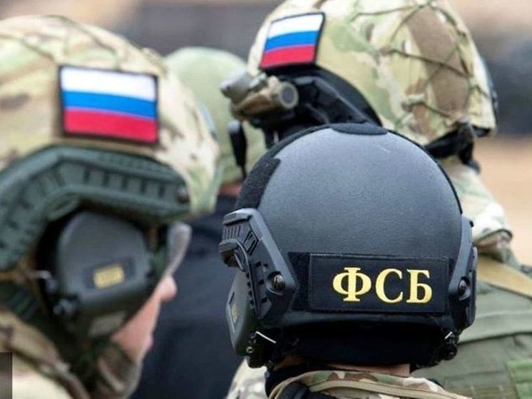 Cотрудники ФСБ задержали двух жителей Нижегородской области за подготовку диверсий