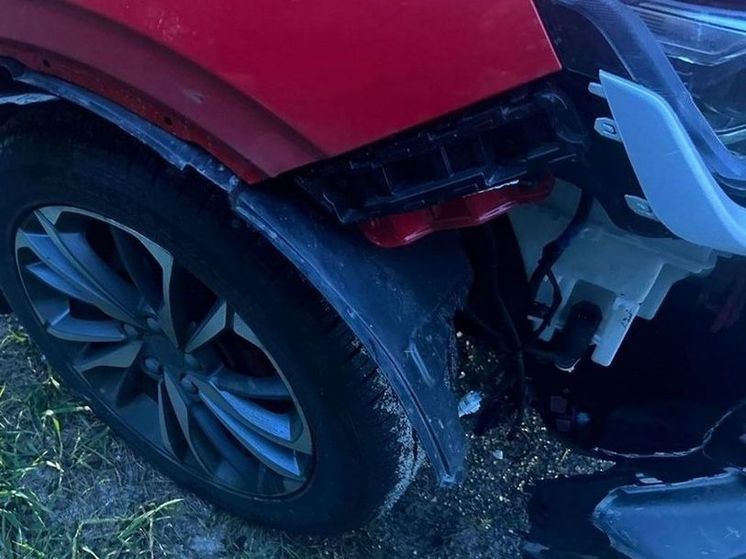 В Путятинском районе водитель Belgee насмерть сбил косулю