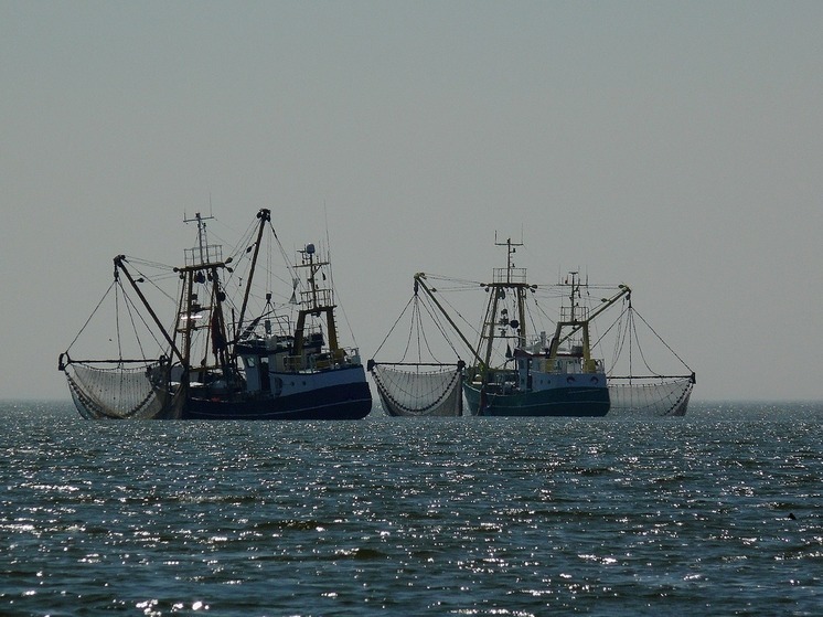 Индонезия задержала в своих водах рыболовное судно под российским флагом