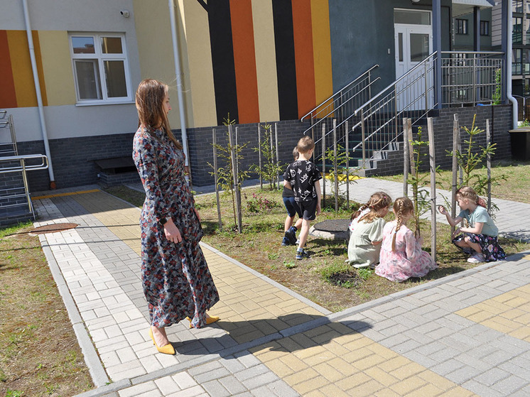 Более двух тысяч елей высажено в Калининградской области в ходе экоакции