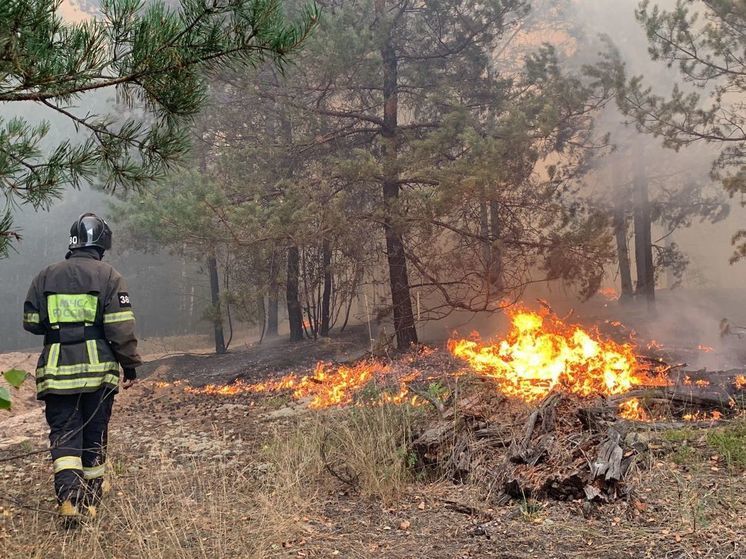 В Рязанской области зафиксирован третий лесной пожар с начала сезона