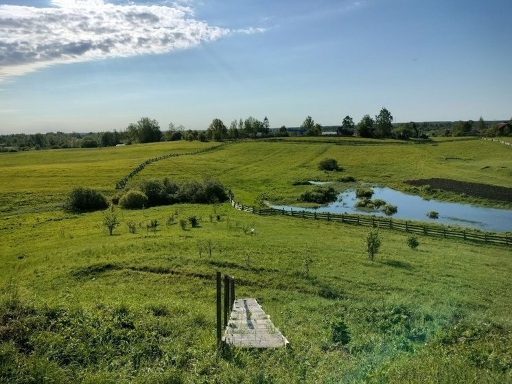 Фото вымершего после большого пожара городища показали псковские археологи