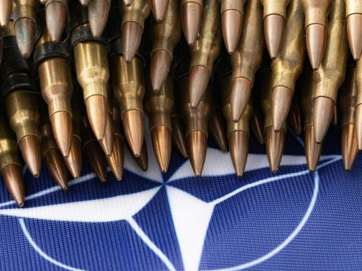 American Conservative: НАТО должна решать конфликт на Украине переговорами