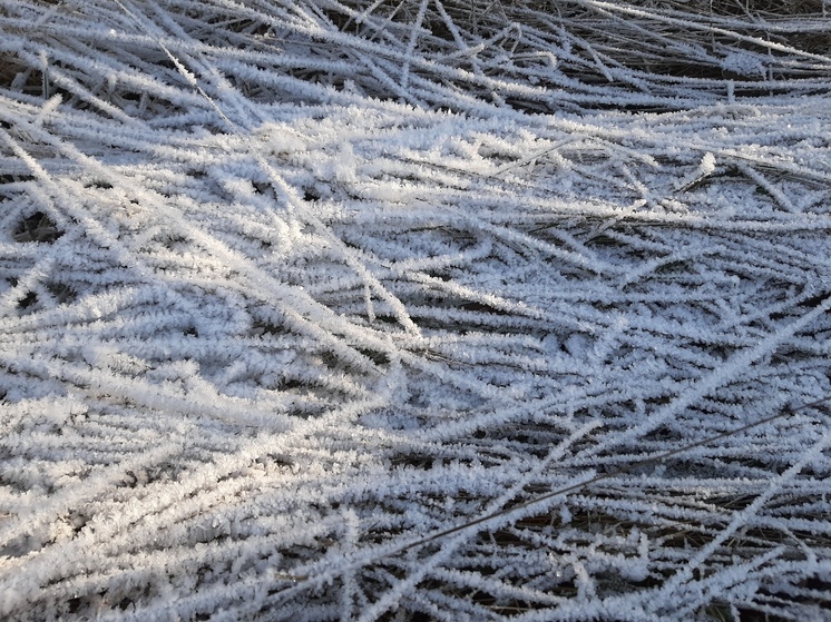 Опять заморозки: в Саратовской области начинается похолодание