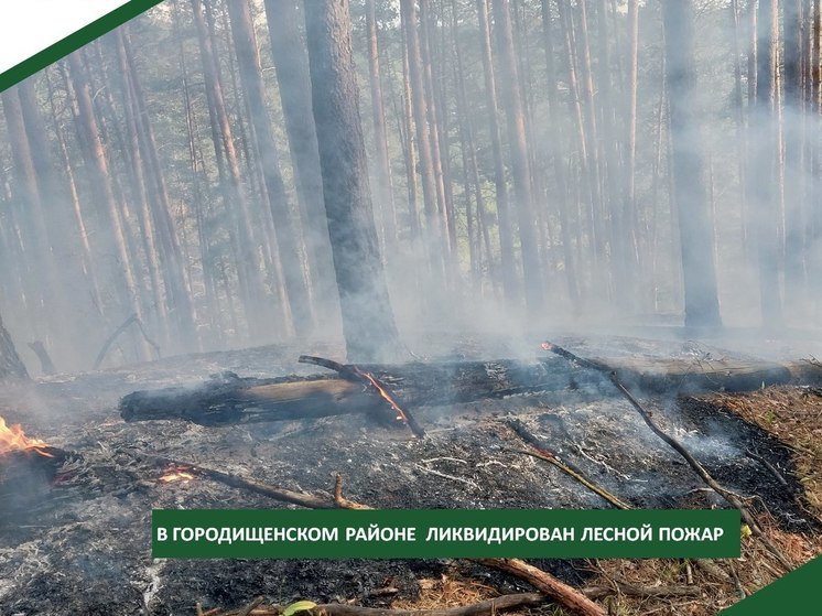В Городищенском районе ликвидировали лесной пожар