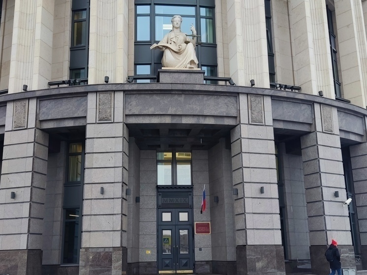 Суд в Петербурге арестовал рецидивиста-пиромана за попытку поджога аэродрома