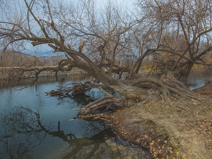 Паводок в Югре: угрозы прихода большой воды нет