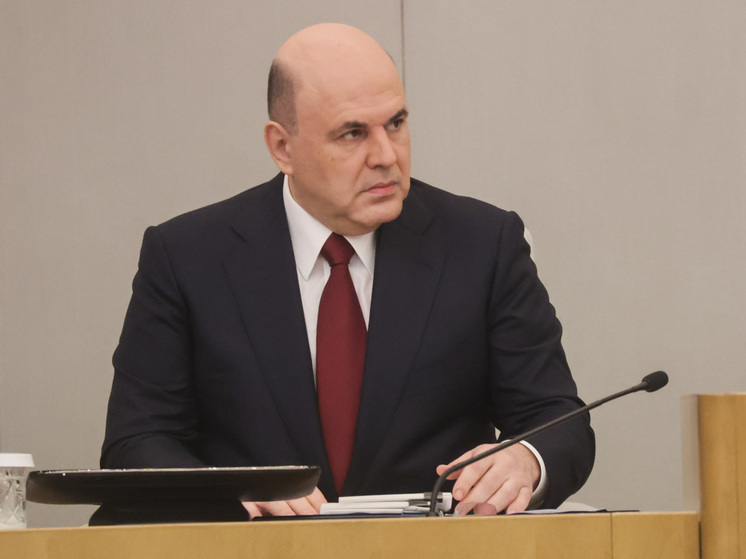 Мишустин освободил от должности директора департамента контроля правительства Дербенева
