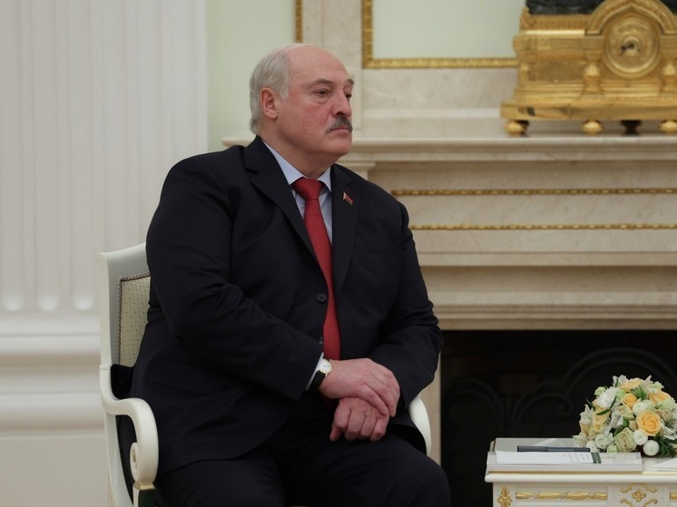 Белоруссия вышлет гуманитарную помощь Оренбургской и Курганской областям России
