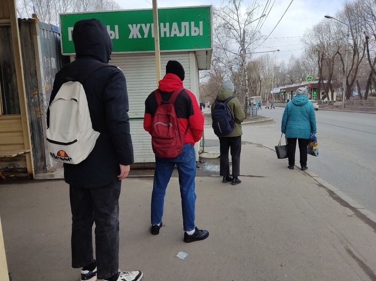 Больше, чем в прошлом году: в Томске и области клещи почти 5 тысяч раз присасывались к людям