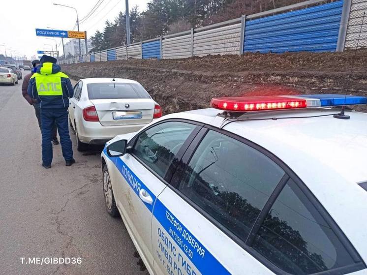 Госавтоинспекция проводит строгий рейд на воронежских дорогах