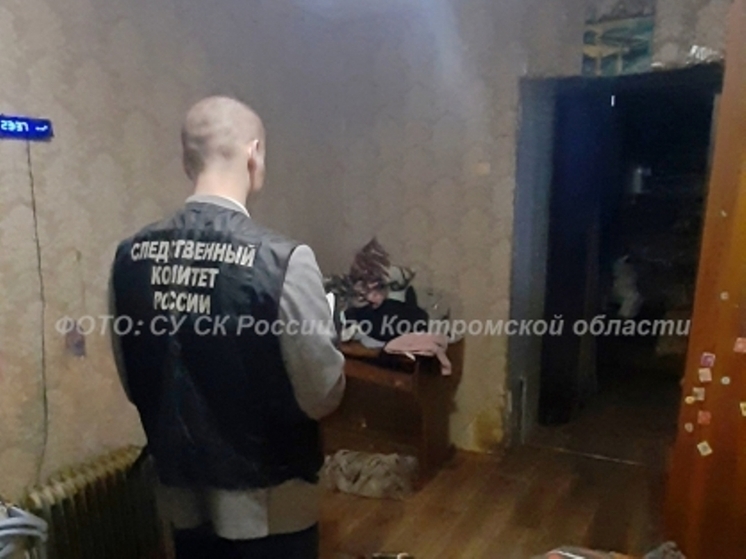 Костромские следователи занялись смертью 6-летней девочки