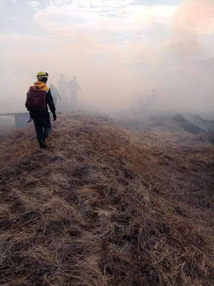 В Бурятии установили виновника лесного пожара в Баргузинском районе