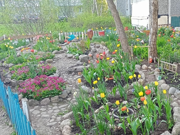 Жители Петрозаводска превращают дворы в сады