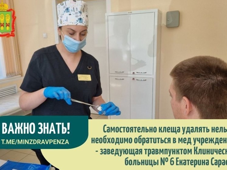 Пензенские врачи рассказали, что делать при обнаружении клеща на теле