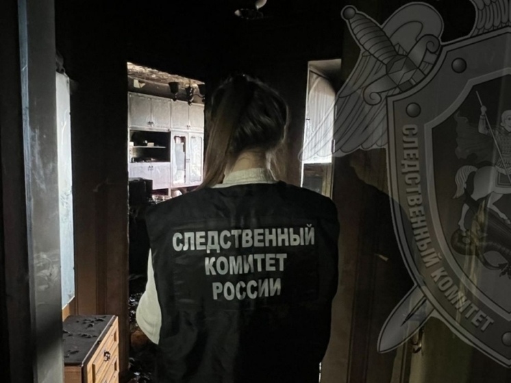 Костромские трагедии: пожар в многоквартирном доме в Кирпичном проезде унес жизнь пожилого пенсионера