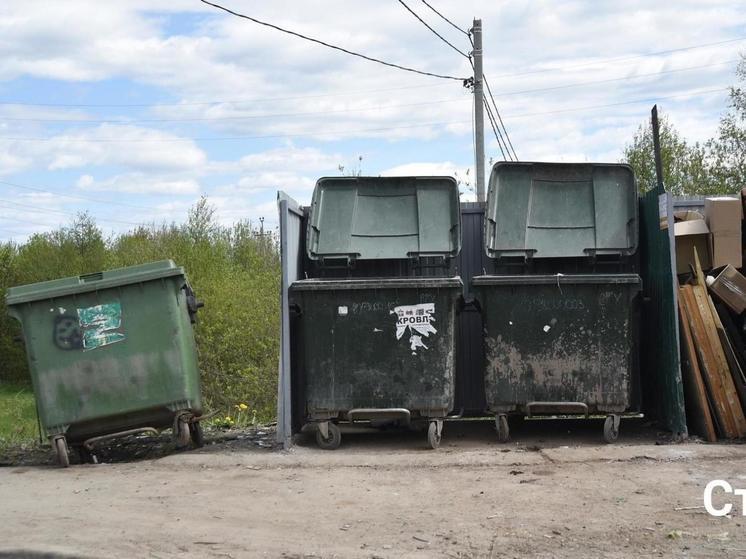 На улице Галактической в Вологде установили фотоловушки на месте свалки