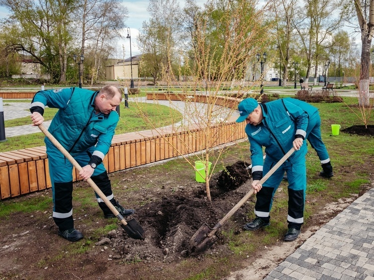В Тобольске добавили свежести Александровскому саду