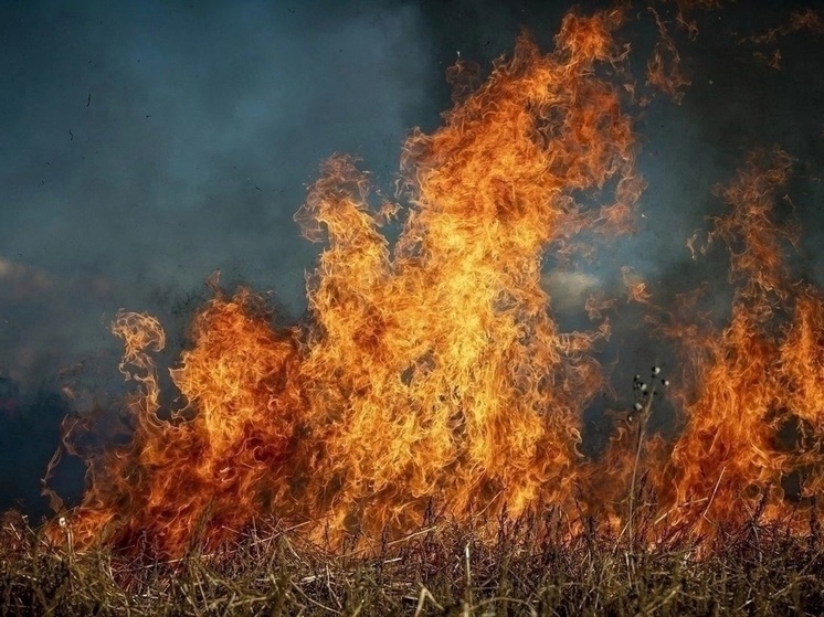 МЧС: с 25 по 27 мая в Рязанской области сохранится высокая пожарная опасность
