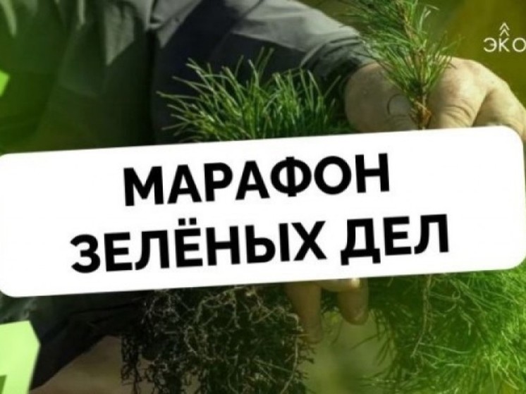 В Псковской области проходит Марафон зеленых дел