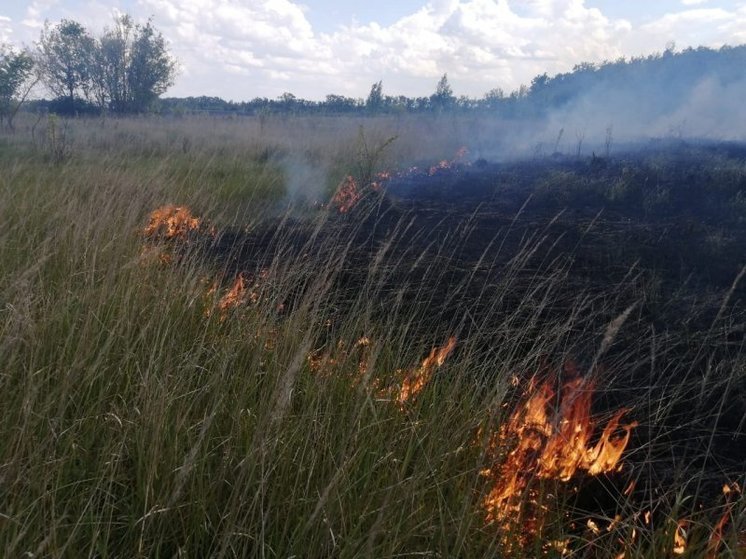 Под Курском пожарные потушили 500 «квадратов» сухой травы и мусора