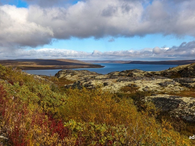 Роскадастр в НАО пообещал ответить на вопросы по заветным гектарам