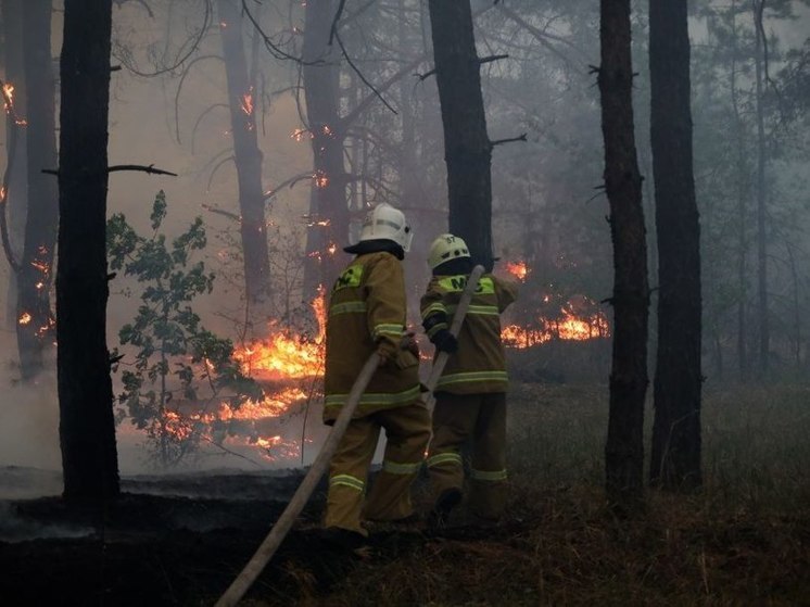 Огнеборцы ликвидируют пожар в Станично-Луганском округе ЛНР